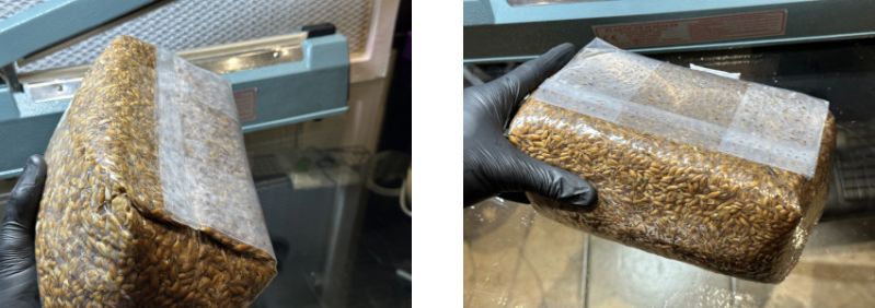 File:Vacuum seal.jpg